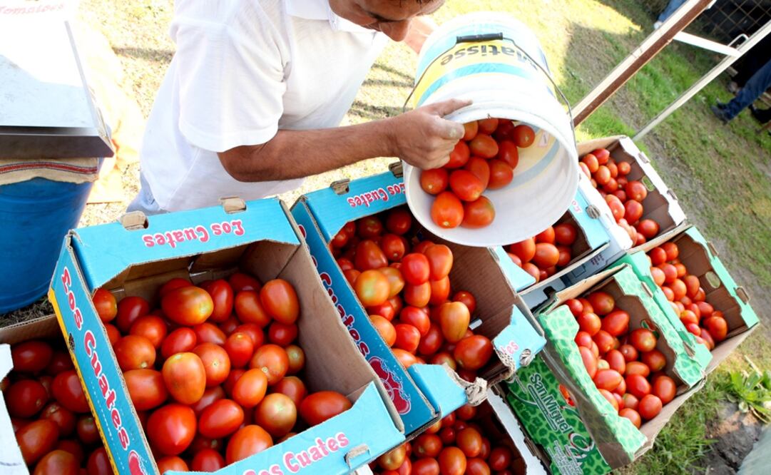 Foto: Archivo / EL UNIVERSAL
