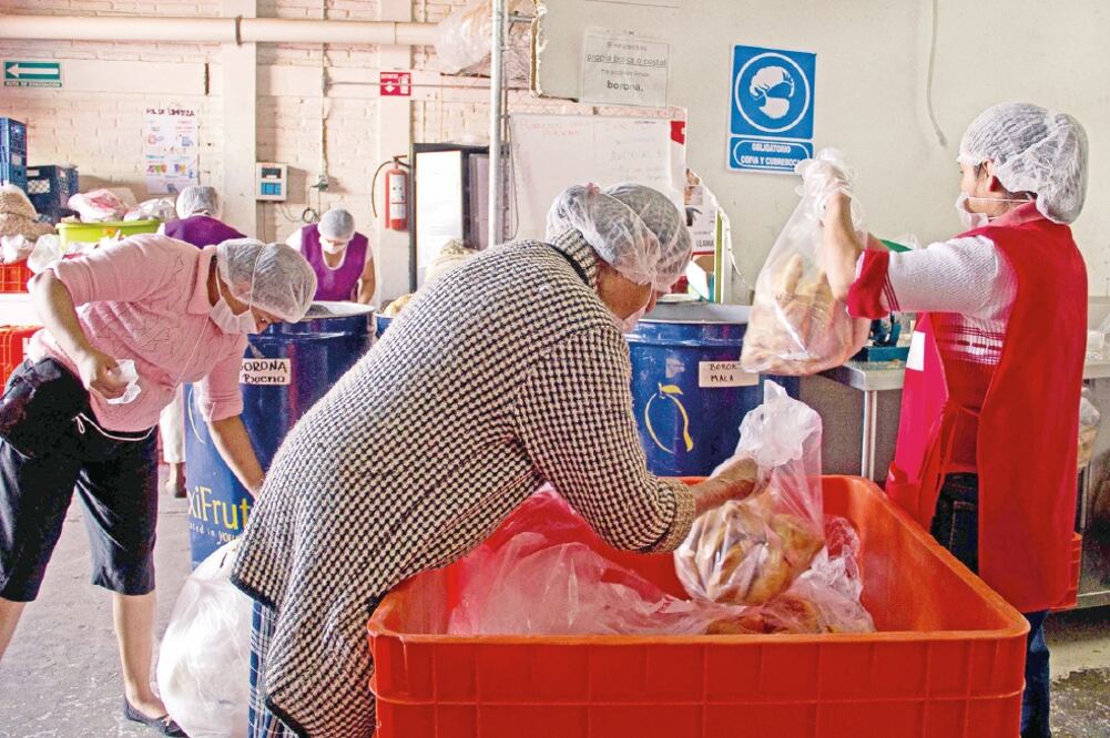 Mejorar la coordinación con los bancos de alimentos, es uno de los puntos que se abordan en las propuestas para reducir el desperdicio de comida. (ARCHIVO EL UNIVERSAL)