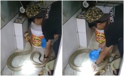 Joven se hace viral al bañar a su serpiente como si fuera un perro