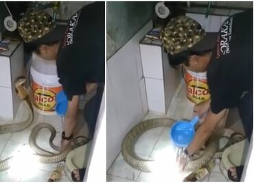 Joven se hace viral al bañar a su serpiente como si fuera un perro