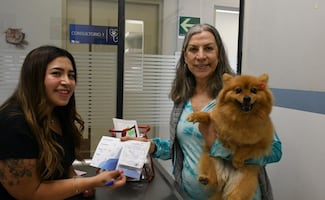 Benito Juárez fortalece atención veterinaria; ofrecen diversos servicios para mascotas a bajo costo