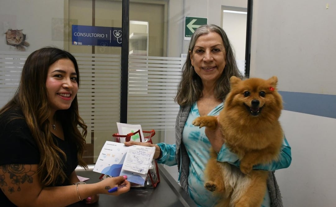 Benito Juárez fortalece atención veterinaria. Foto: Especial