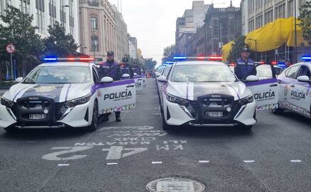 Van por tipificar la violencia de género en el ámbito familiar