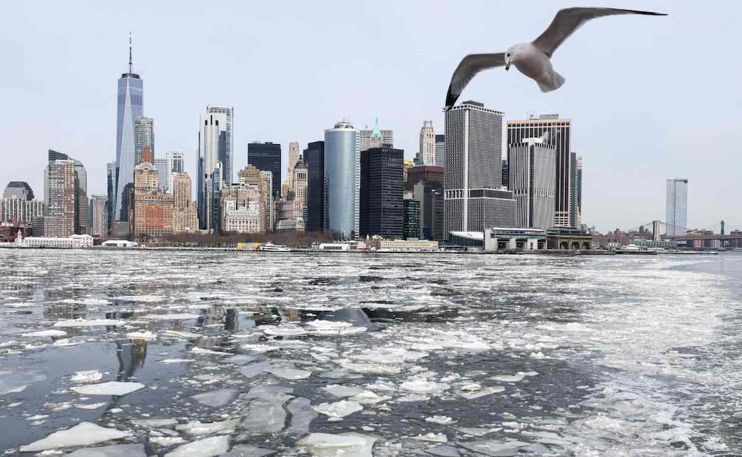 Una vista del horizonte del Bajo Manhattan de la ciudad de Nueva York se aprecia mientras el hielo flota en la Bahía Superior, en la desembocadura del río Hudson, el 28 de enero de 2026. Foto: AFP