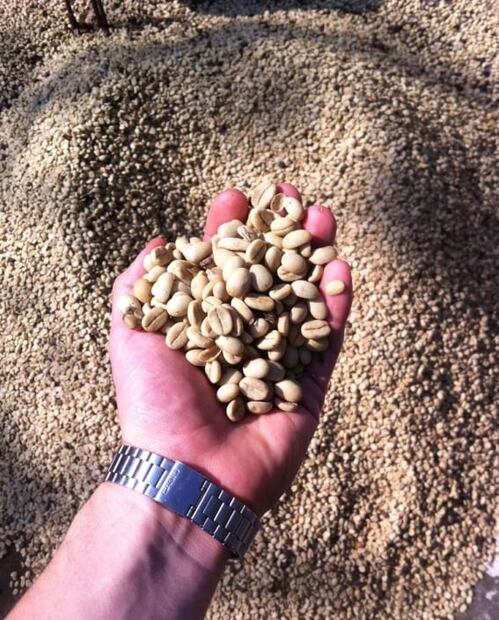 La tradición del café de Veracruz