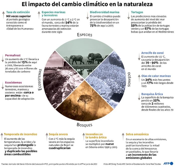 Principales puntos del informe provisional del IPCC sobre los efectos del calentamiento global en el medioambiente. Imagen: AFP