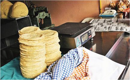 Por mercado negro de maíz, alzas del kilo de tortilla hasta en 18 pesos, advierten