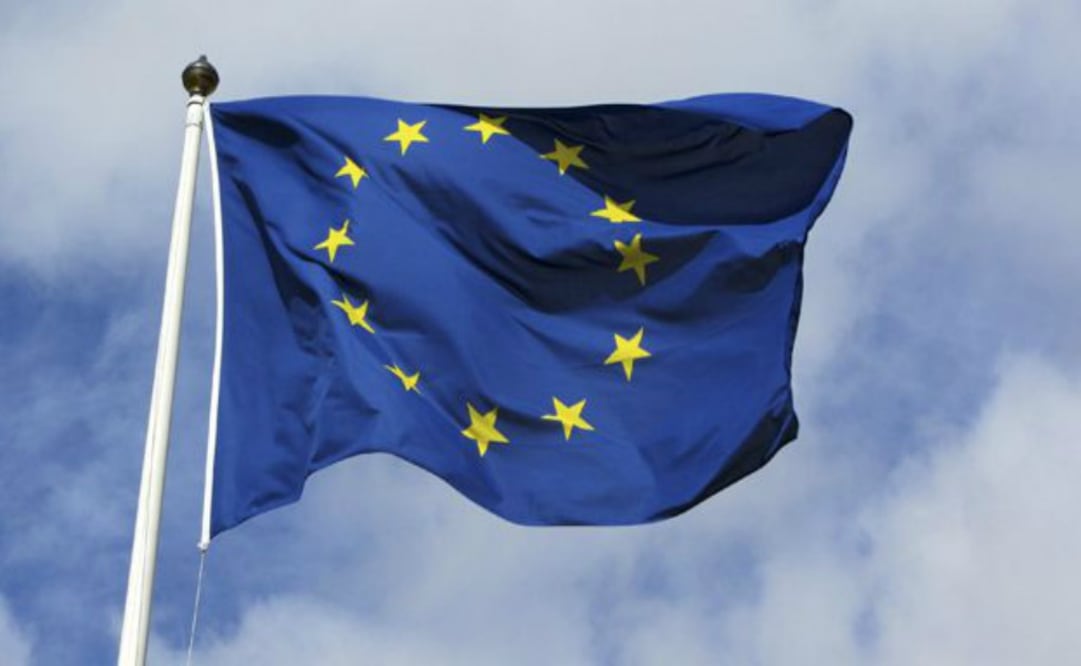 La Comisión Europea multó a las tres compañías un total de 166 millones de euros por violar reglas antimonopolios junto con Samsung SDI
