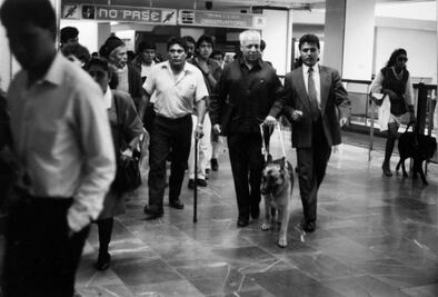 Los primeros perros lazarillos