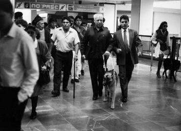 Los primeros perros lazarillos