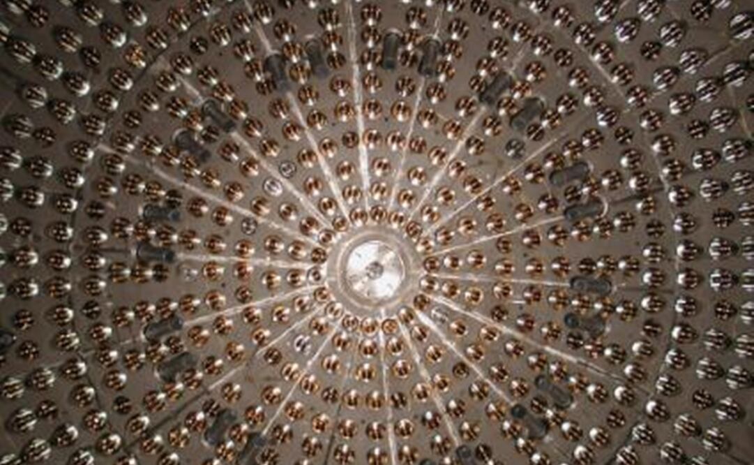 Foto: Borexino vía UAM