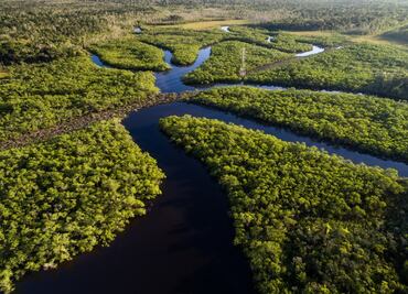 Petro propone un tribunal internacional y una "OTAN amazónica" para defender la selva
