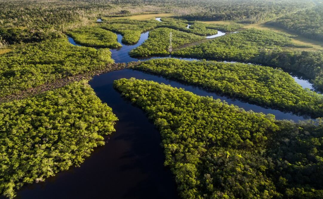 Río Amazonas (Perú, Colombia y Brasil). El río más largo. (Foto: Istock)