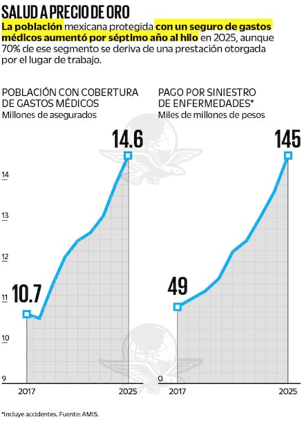 Fuente: AMIS