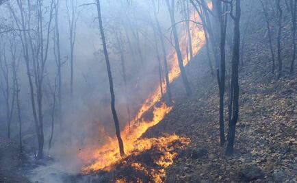 Tlaxcala suma 85 incendios forestales este año