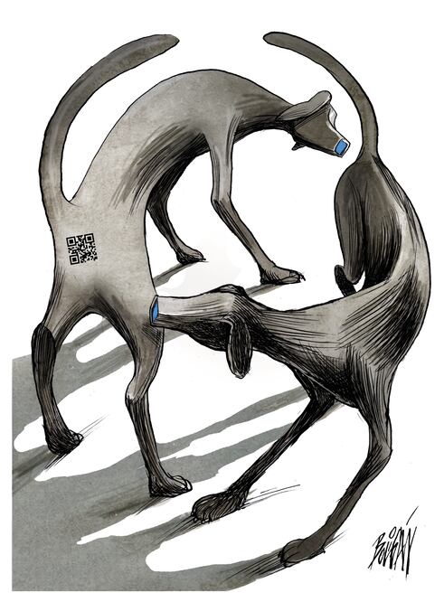 Cartón de BOLIGÁN
