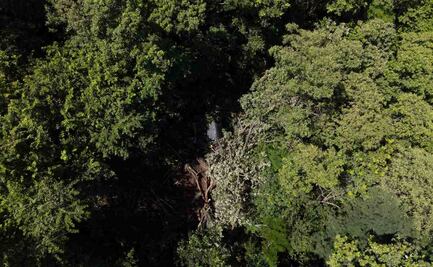 Tragedia en El Salvador: recuperan cuerpos del director de la Policía y 8 más tras fatal accidente de helicóptero