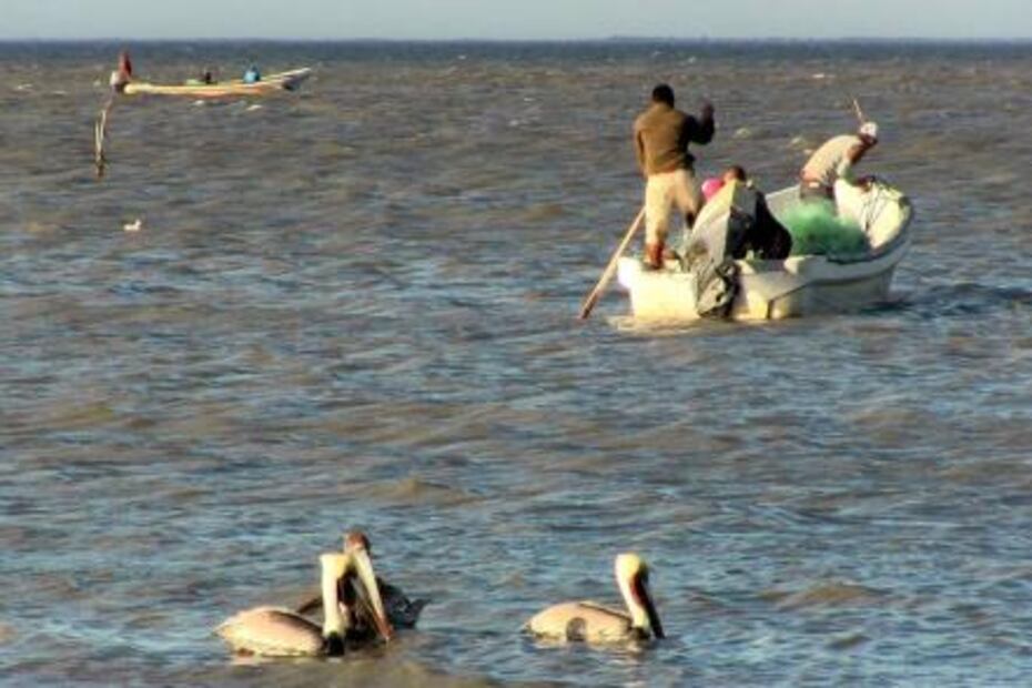 Pescadores de tiburón retaron al mar por necesidad; no volvieron