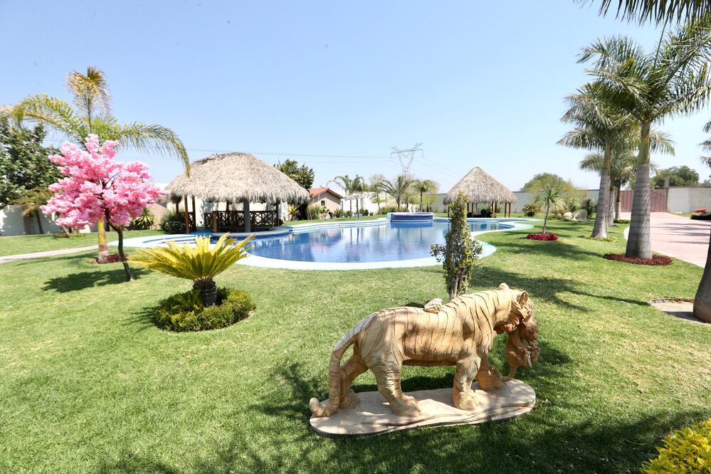 La casa del líder del Cártel de Santa Rosa de Lima, José Antonio Yépez Ortiz El Marro, tiene una alberca rodeada de palmeras y palapas. Foto: VALENTE ROSAS. EL UNIVERSAL