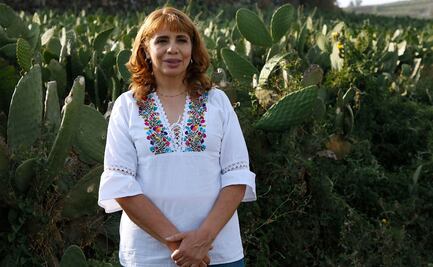 Anuncian festival "Viva Milpa Alta" para reactivar economía local