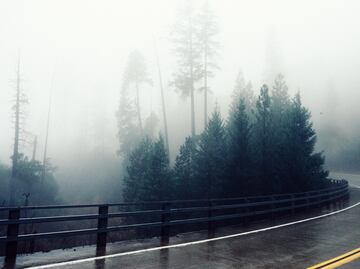 Semana Santa: cuáles son las curvas más peligrosas de México