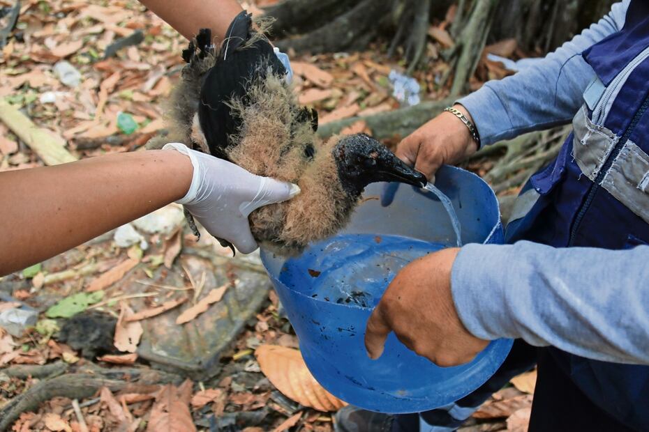 Expertos indican que no habían visto una crisis como esta en más de cuatro años. Foto: Luma López EL UNIVERSAL