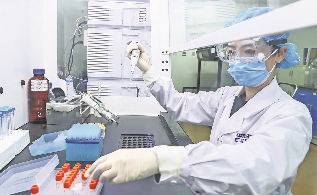 Foto: CLAUDIO CRUZ / AFP