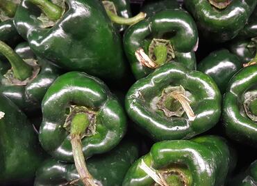 Cómo reconocer un chile poblano auténtico y evitar los chiles piratas