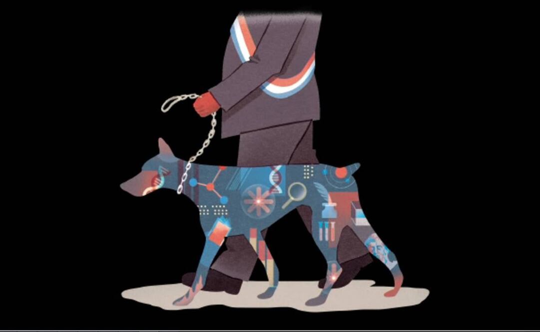 ley de ciencia. Ilustración : Ani Córtes 