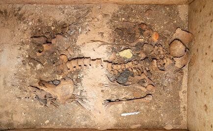 Hallan tumba de noble enterrada con sus joyas hace mil 800 años