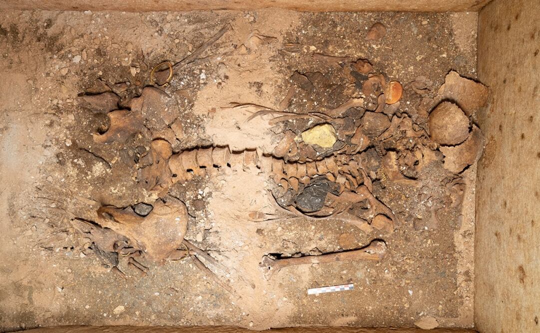 Foto: Ministerio de Cultura de Grecia/Thanos Kartsoglou/Handout via REUTERS