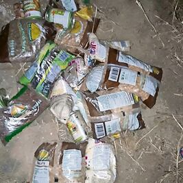 Pobladores en Guerrero se llevan despensas infectadas