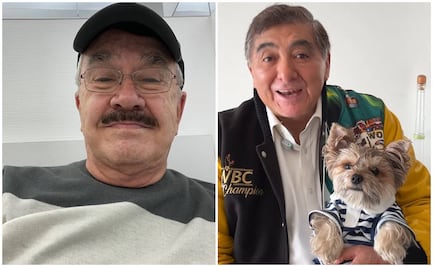 Pedro Sola, criticado por Aracely Arámbula, Carlos Bonavides y otros famosos por sus declaraciones en contra de los perros: "¡Lo que hiciste no tiene madre!"