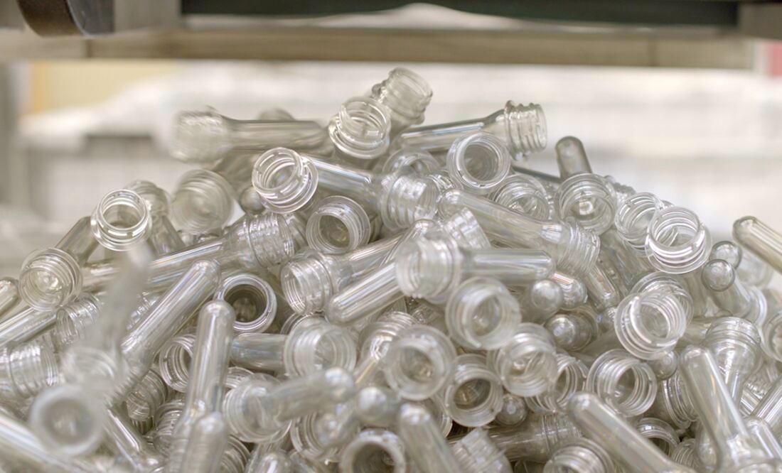 Foto: Cortesía IMCC