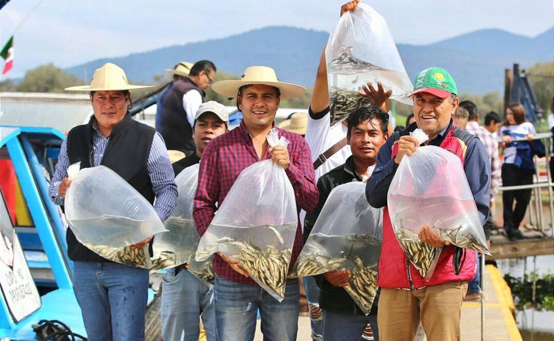 Siembra de peces en el Lago de Pátzcuaro / Foto: Especial