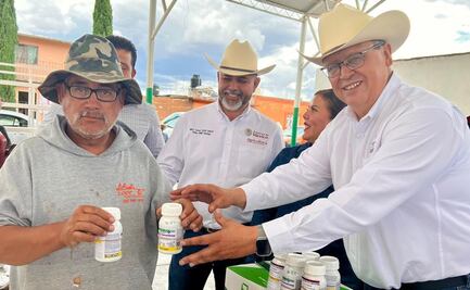 Plaga de chapulín afecta 6 mil hectáreas de cultivo en Durango; gobierno estatal brinda apoyos para atender cosechas