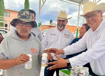 Plaga de chapulín afecta 6 mil hectáreas de cultivo en Durango; gobierno estatal brinda apoyos para atender cosechas