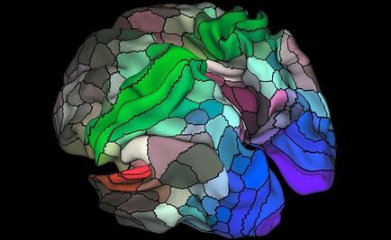 ¿Cómo almacena los recuerdos el cerebro?