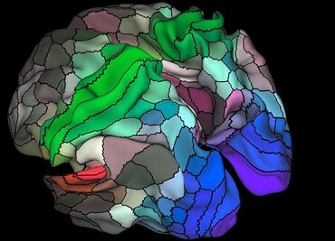 ¿Cómo almacena los recuerdos el cerebro?