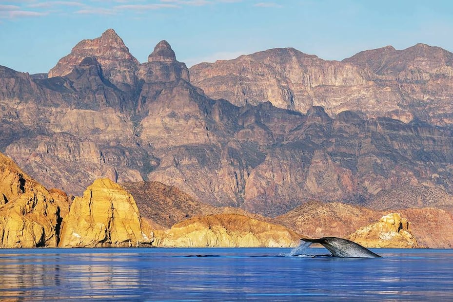 Foto: SETUE Baja California Sur