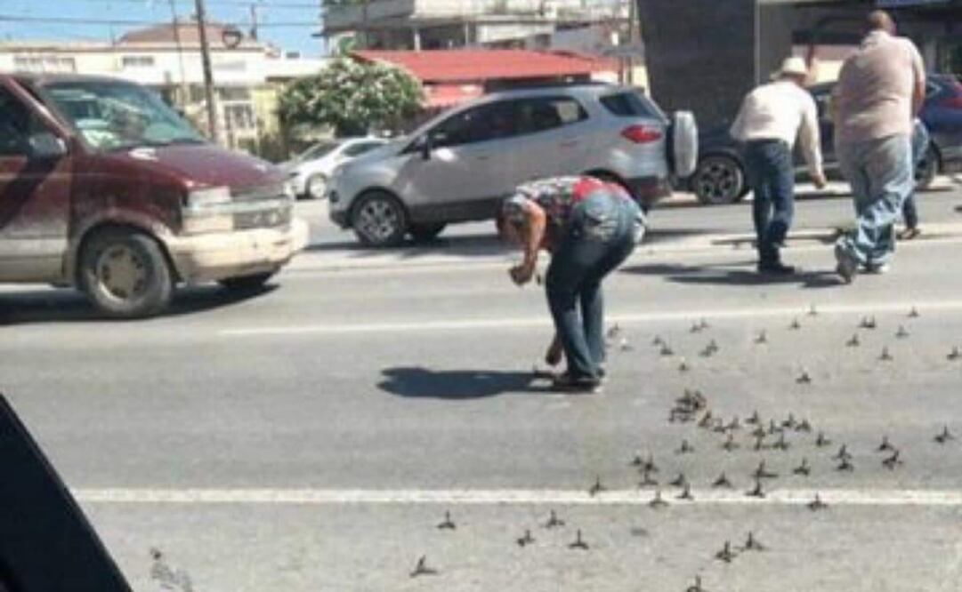 Fotografía: Especial