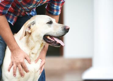 Hombre asegura que su perro le disparó mientras jugaban
