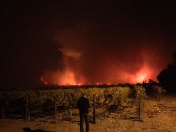 Incendios en California afectan valles de Napa y Sonoma