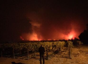 Incendios en California afectan valles de Napa y Sonoma
