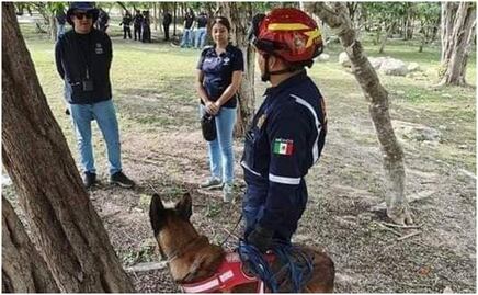 Encuentran a menor extraviado en Yucatán; desapareció luego de pelear con su hermano por videojuegos