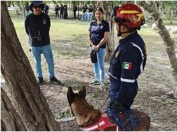 Encuentran a menor extraviado en Yucatán; desapareció luego de pelear con su hermano por videojuegos