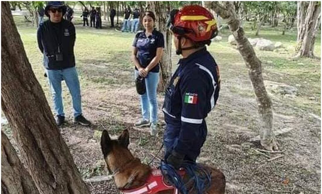 Este 29 de octubre, encuentran a Lionel Vicente Álvarez, un menor de edad extraviado desde el pasado sábado en Yucatán. Foto: Especial