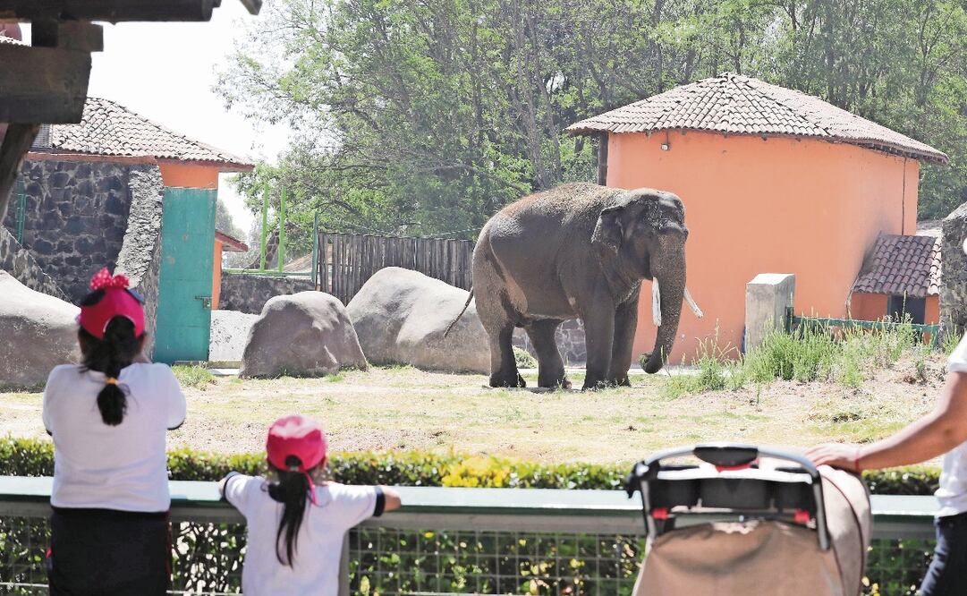 Zoológico de Zacango. Foto: Archivo