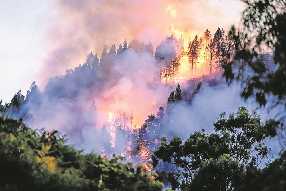 Foto: archivo/ EL GRÁFICO
