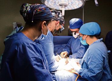 Hígado de cerdo, modificado genéticamente, podría funcionar trasplantado en una persona: "Nature"